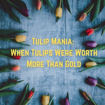 Tulip Mania: When Tulips Were Worth More Than Gold By Bryanna Sweeney