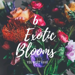 6 Exotic blooms you must have