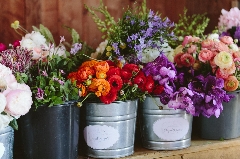 Subscription flowers
